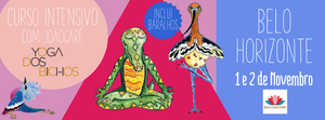 BELO HORIZONTE - Nova Turma no Brasil - Curso Intensivo Presencial - Yoga dos Bichos - 1 e 2 de Novembro 2025 (COM BARALHOS)