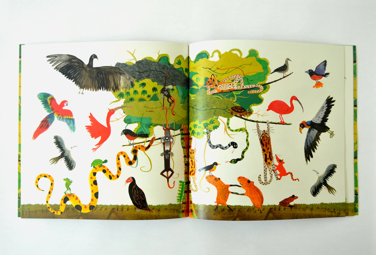 Livro Pé-de-bicho